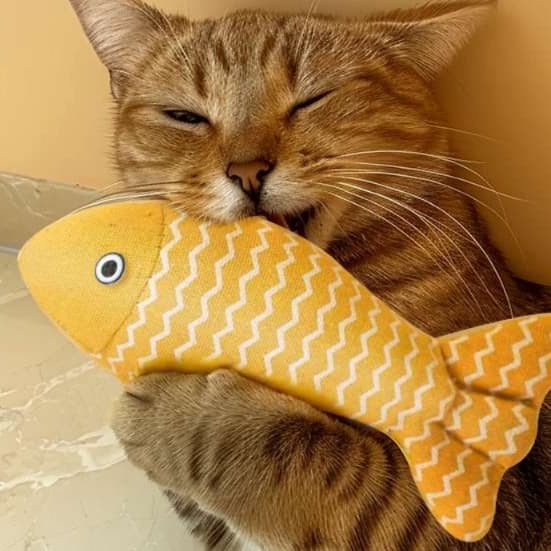 猫 おもちゃ やわらか魚型 むにむに猫じゃらし