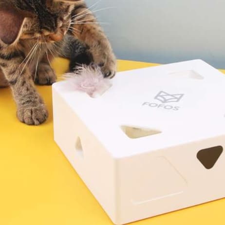 猫 おもちゃ 自動回転式 癒し猫じゃらし魔法箱