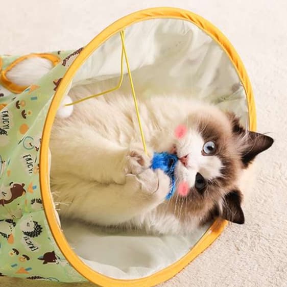 猫 おもちゃ 折りたたみトンネル型 猫じゃらし付きハウス