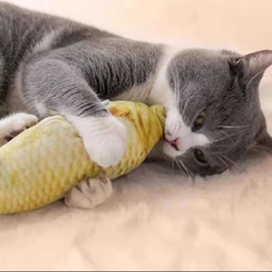 猫 おもちゃ 本格派 擬似魚型 猫じゃらし