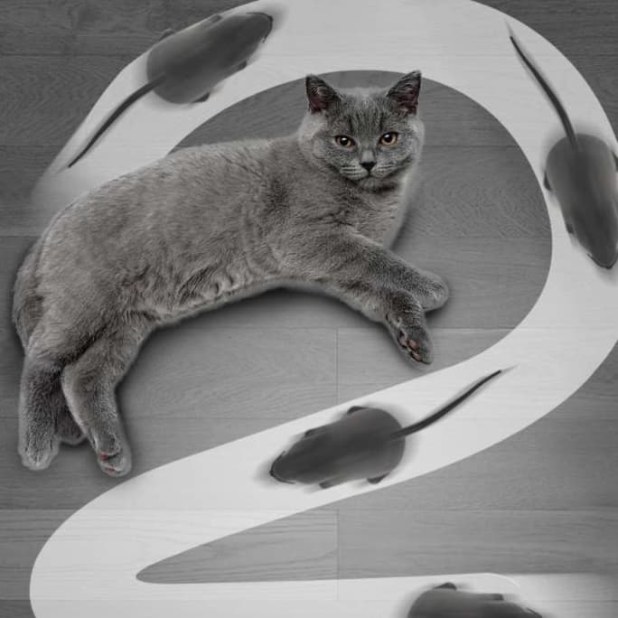 猫 おもちゃ ねずみ型電動猫じゃらし リモコンセット