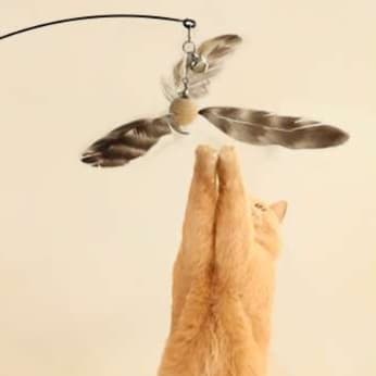 猫 おもちゃ 天然羽根のふわり舞う 猫じゃらし棒
