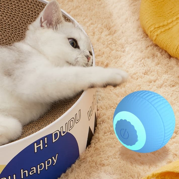 猫 おもちゃ 動くネコボール知育玩具