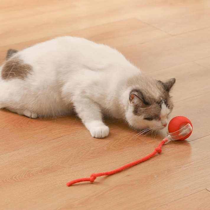 猫 おもちゃ もふもふボール型ペット知育玩具