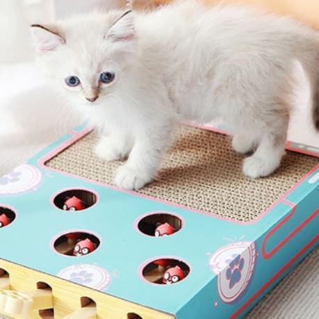 猫 おもちゃ もぐもぐハンター猫の知育パズル