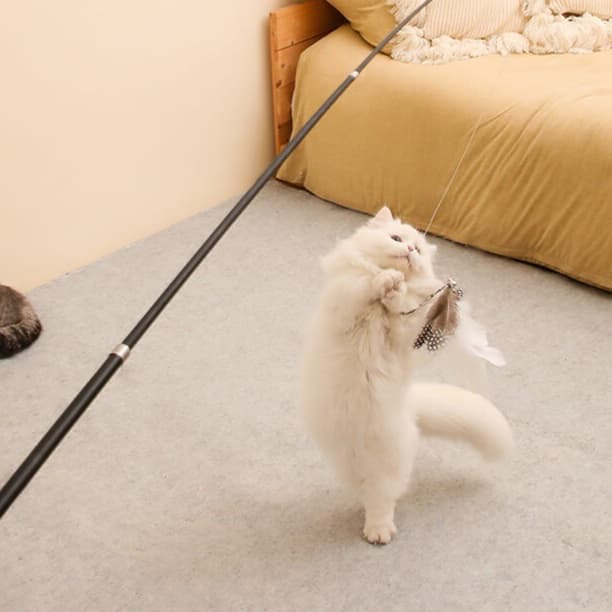 猫 おもちゃ 伸縮自在の快適キャッチャー猫じゃらし
