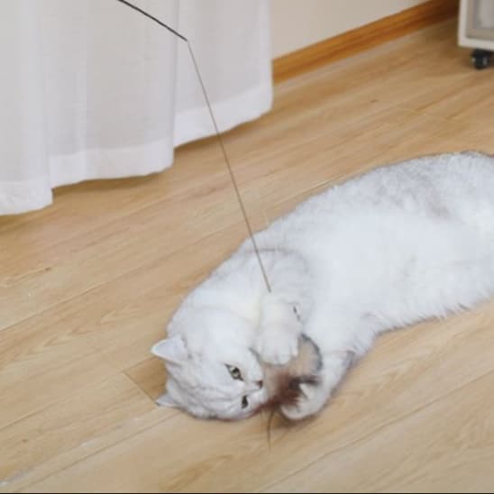 猫 おもちゃ 伸縮自在の快適キャッチャー猫じゃらし