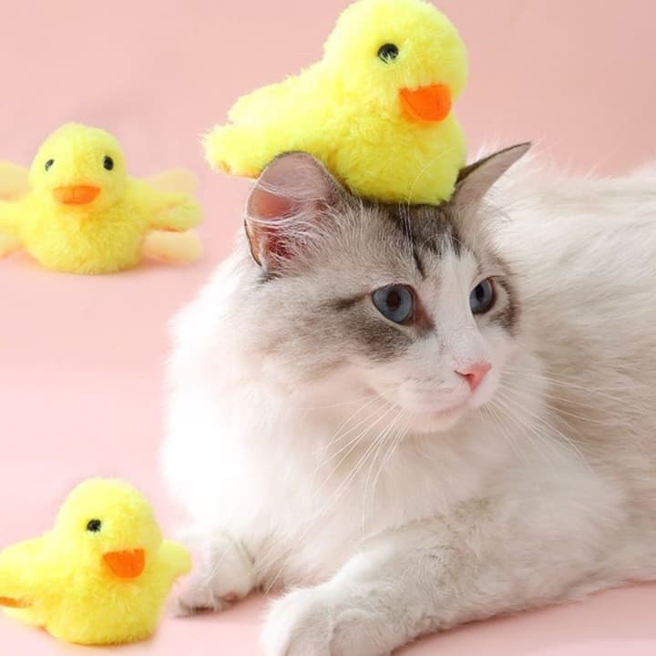 猫 おもちゃ おしゃべりアヒル猫じゃらし