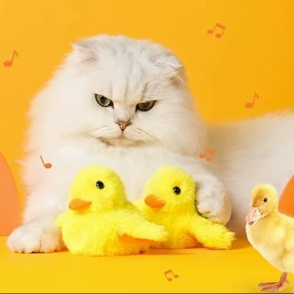 猫 おもちゃ おしゃべりアヒル猫じゃらし