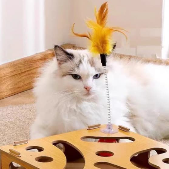 猫 おもちゃ 木製迷路型 猫じゃらし遊びセット