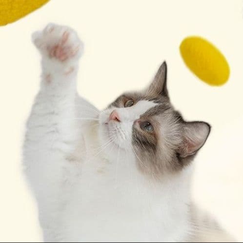 猫 おもちゃ またたび配合 癒しの遊び玉