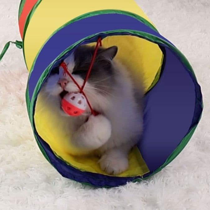 猫 おもちゃ トンネルで遊ぼう!にゃんこのおうち玉じゃらし