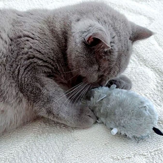 猫 おもちゃ 天然ふわもこ ねずみのおもちゃ