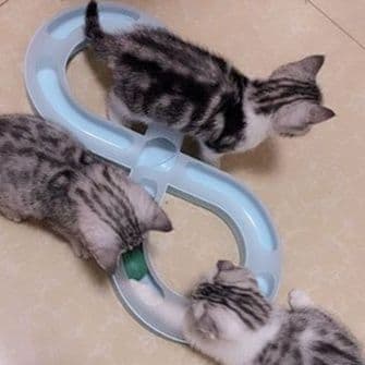 猫 おもちゃ 無限ループ・キャットボール猫じゃらし