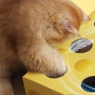 猫 おもちゃ 知育型ねこちゃん遊び箱