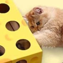 猫 おもちゃ 知育型ねこちゃん遊び箱