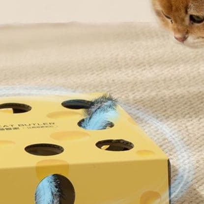 猫 おもちゃ 知育型ねこちゃん遊び箱