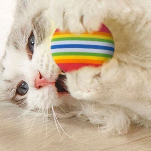 猫 おもちゃ やわらか弾む ボール型猫じゃらし