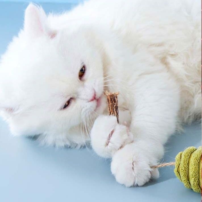 猫 おもちゃ 自然派ネズミの猫じゃらし