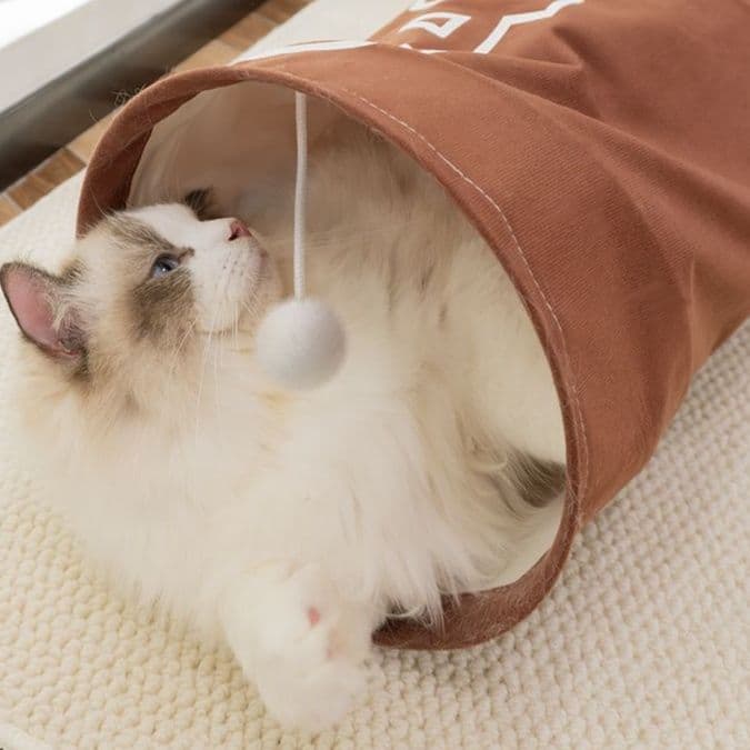 猫 おもちゃ トンネルじゃらし 収納上手