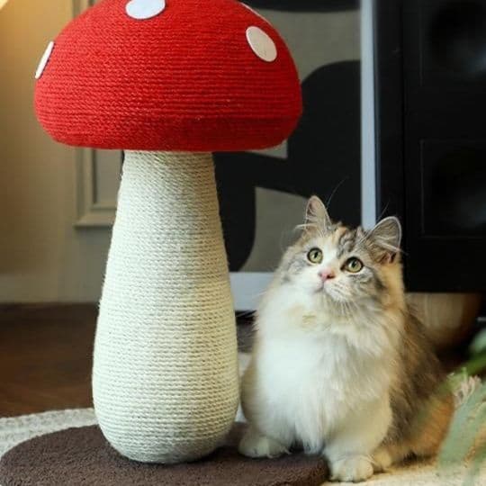 猫 おもちゃ きのこ型 麻縄 猫じゃらし