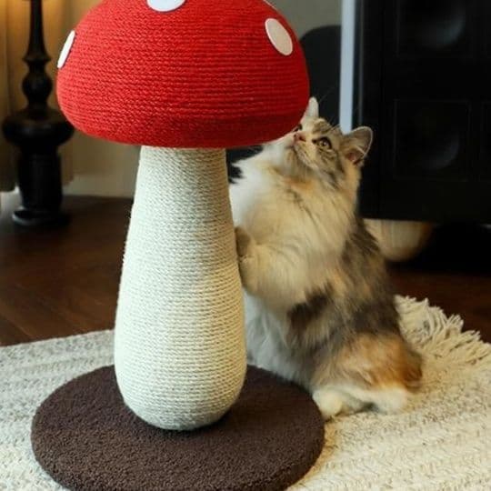 猫 おもちゃ きのこ型 麻縄 猫じゃらし