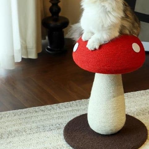 猫 おもちゃ きのこ型 麻縄 猫じゃらし