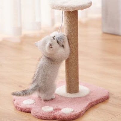 猫 おもちゃ お手軽ポールキャッチャー