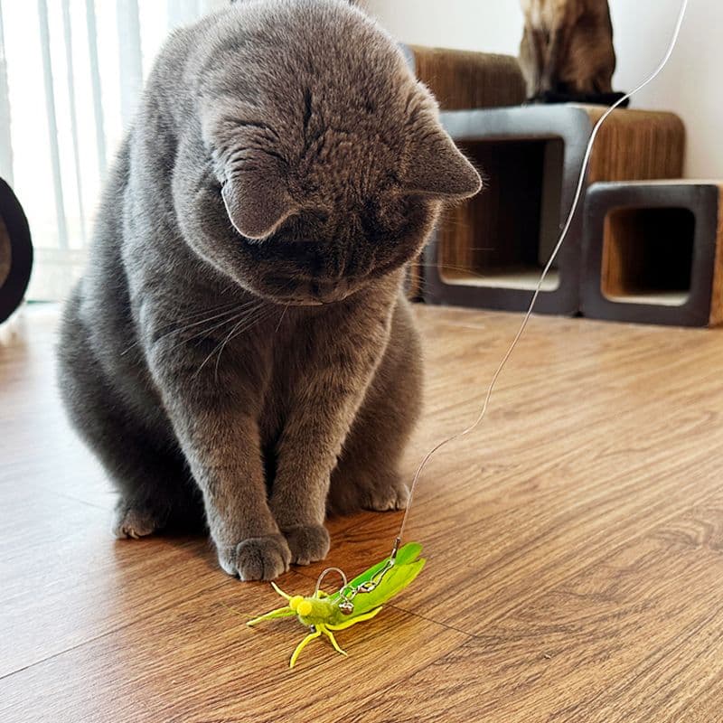 猫 おもちゃ バッタの猫じゃらし