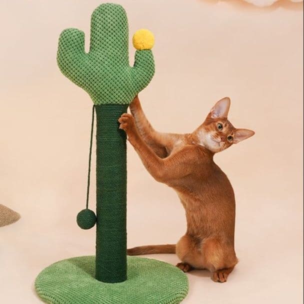 猫 おもちゃ サボテン型キャットタワー 爪とぎ付き猫じゃらし