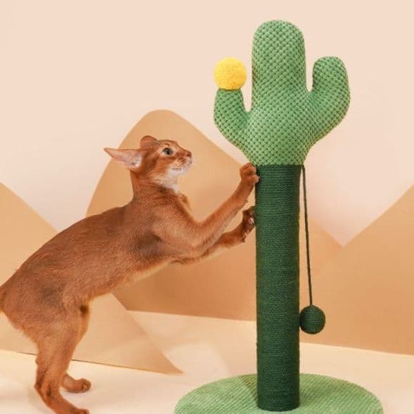 猫 おもちゃ サボテン型キャットタワー 爪とぎ付き猫じゃらし