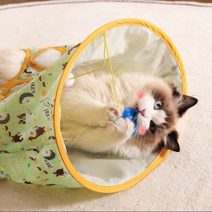 猫 おもちゃ 折りたたみトンネル型 猫じゃらし付きハウス