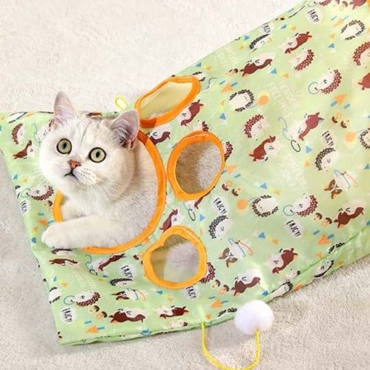 猫 おもちゃ 折りたたみトンネル型 猫じゃらし付きハウス
