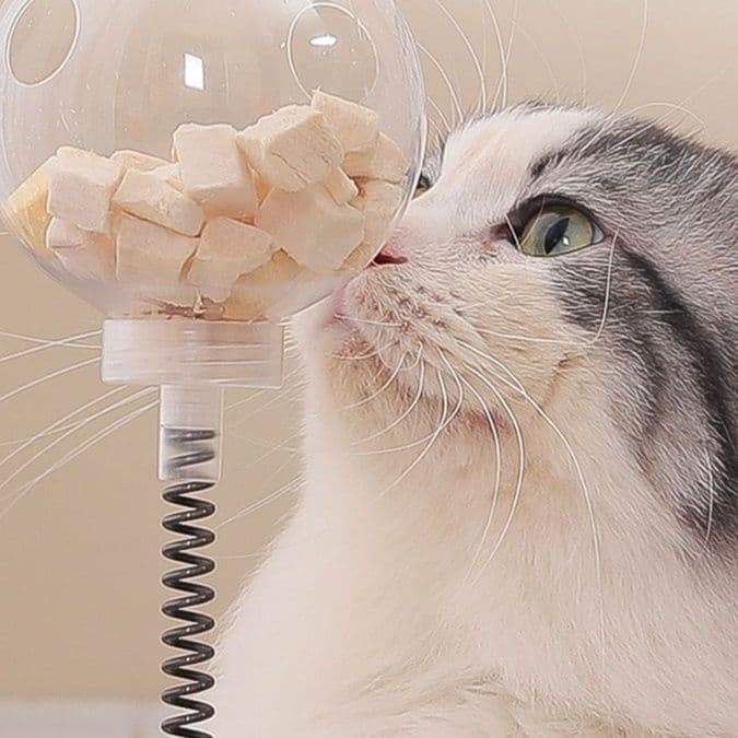 猫 おもちゃ くるくるトリーツボール 猫じゃらし