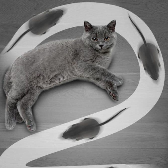 猫 おもちゃ ねずみ型電動猫じゃらし リモコンセット