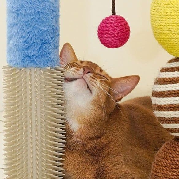猫 おもちゃ もこもこアーチ型 キャット遊具