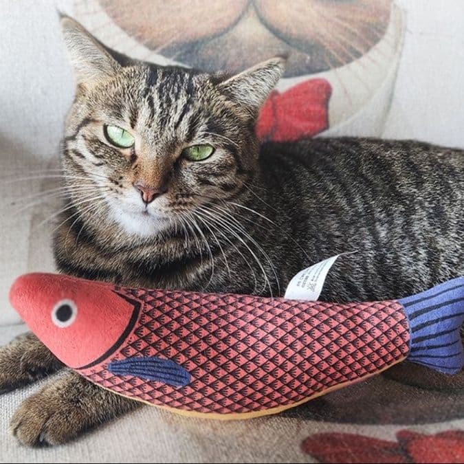 猫 おもちゃ 和風まったりお魚の猫じゃらし