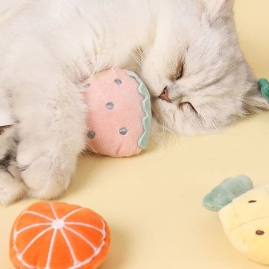猫 おもちゃ 果物畑のお散歩猫じゃらし