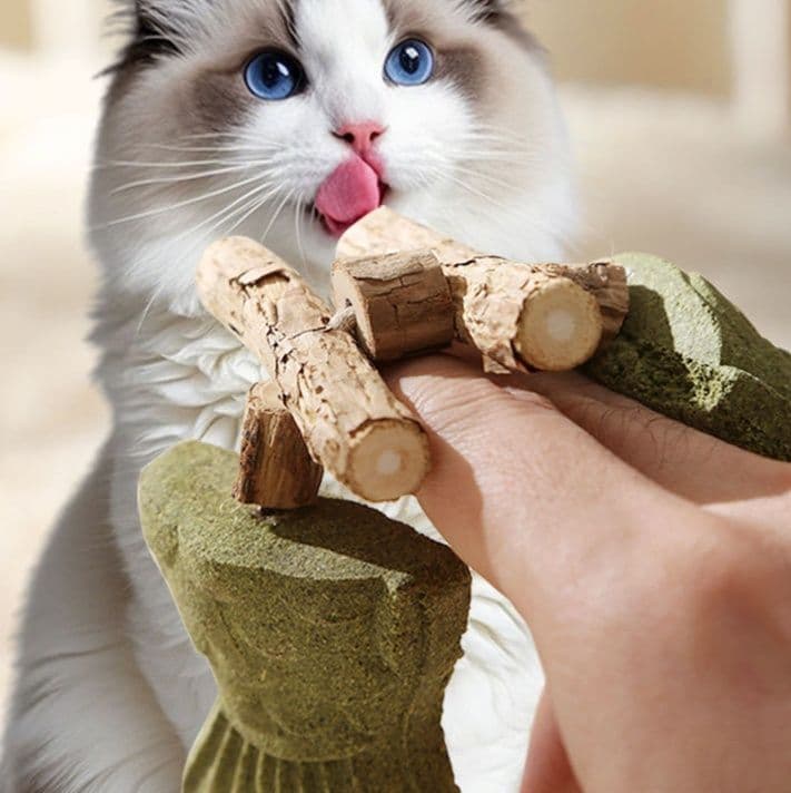 猫 おもちゃ 魚の骨まったりセット