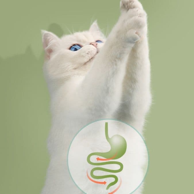 猫 おもちゃ 木製幾何学またたびボール