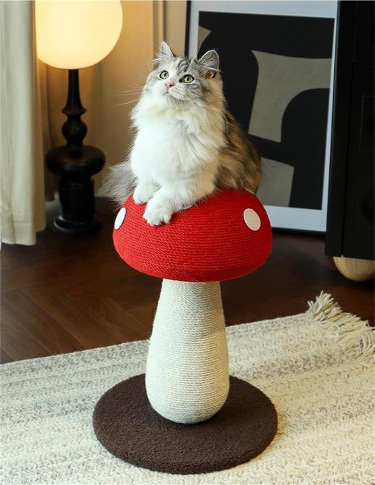 猫 おもちゃ 可愛いきのこ型猫爪とぎポール 運動不足解消グッズ