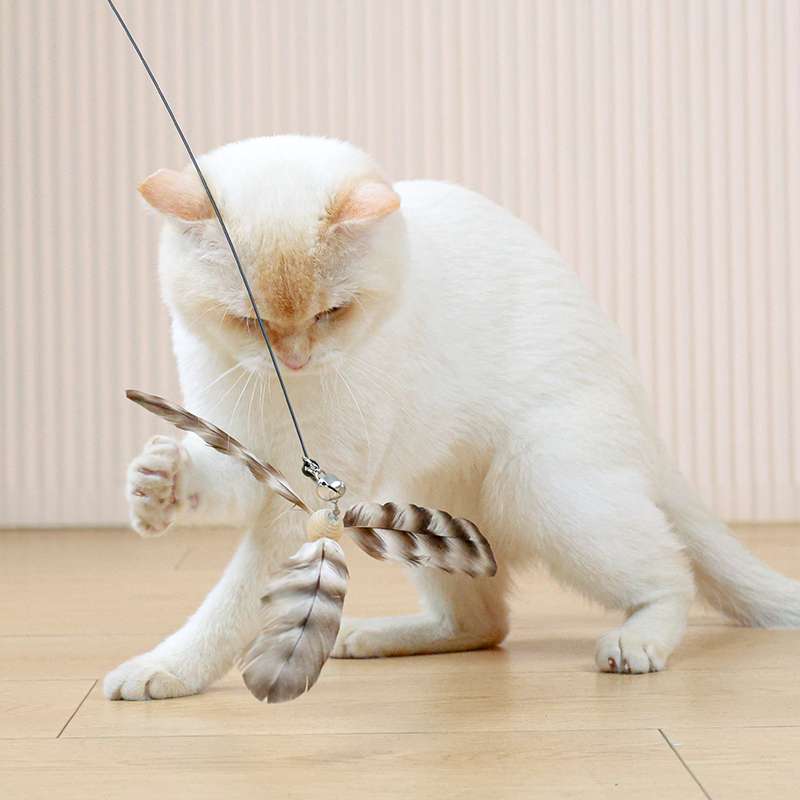 猫 おもちゃ 天然羽根のふわり舞う 猫じゃらし棒