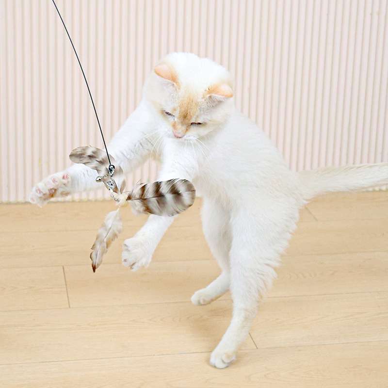 猫 おもちゃ 天然羽根のふわり舞う 猫じゃらし棒