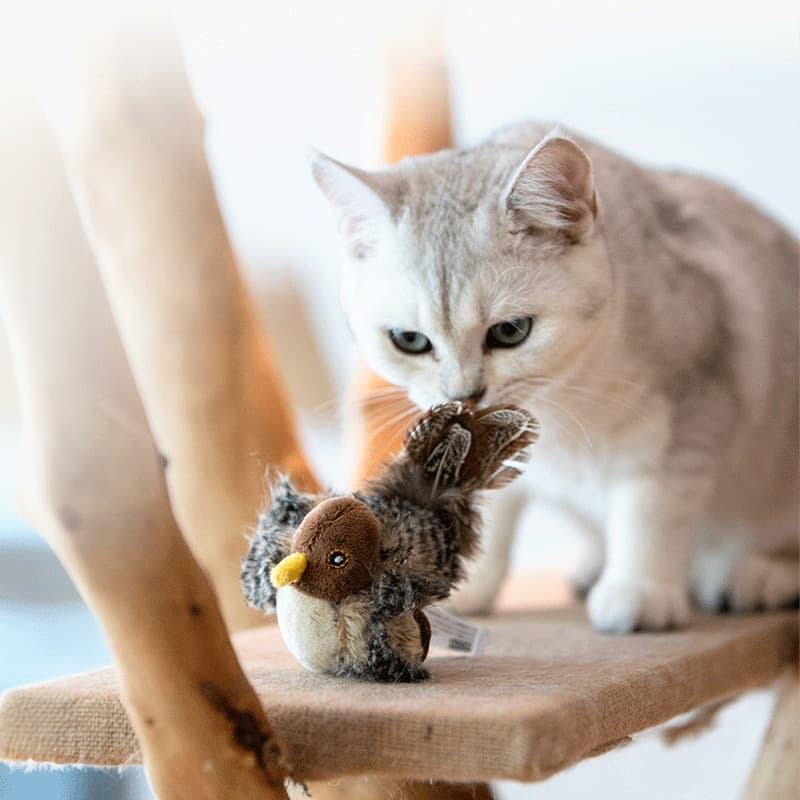 猫 おもちゃ リアル羽根付き小鳥のぬいぐるみ玩具